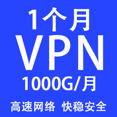 1个月套餐，1000G/月，不限客户端